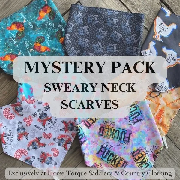 MYSTERY WILD PONY Reversible Sweary Scarves!