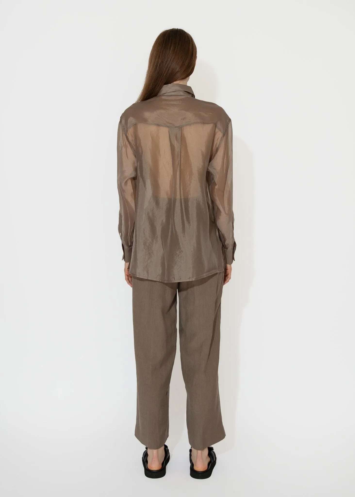 Organza Sheer Blouse in Dark Beige