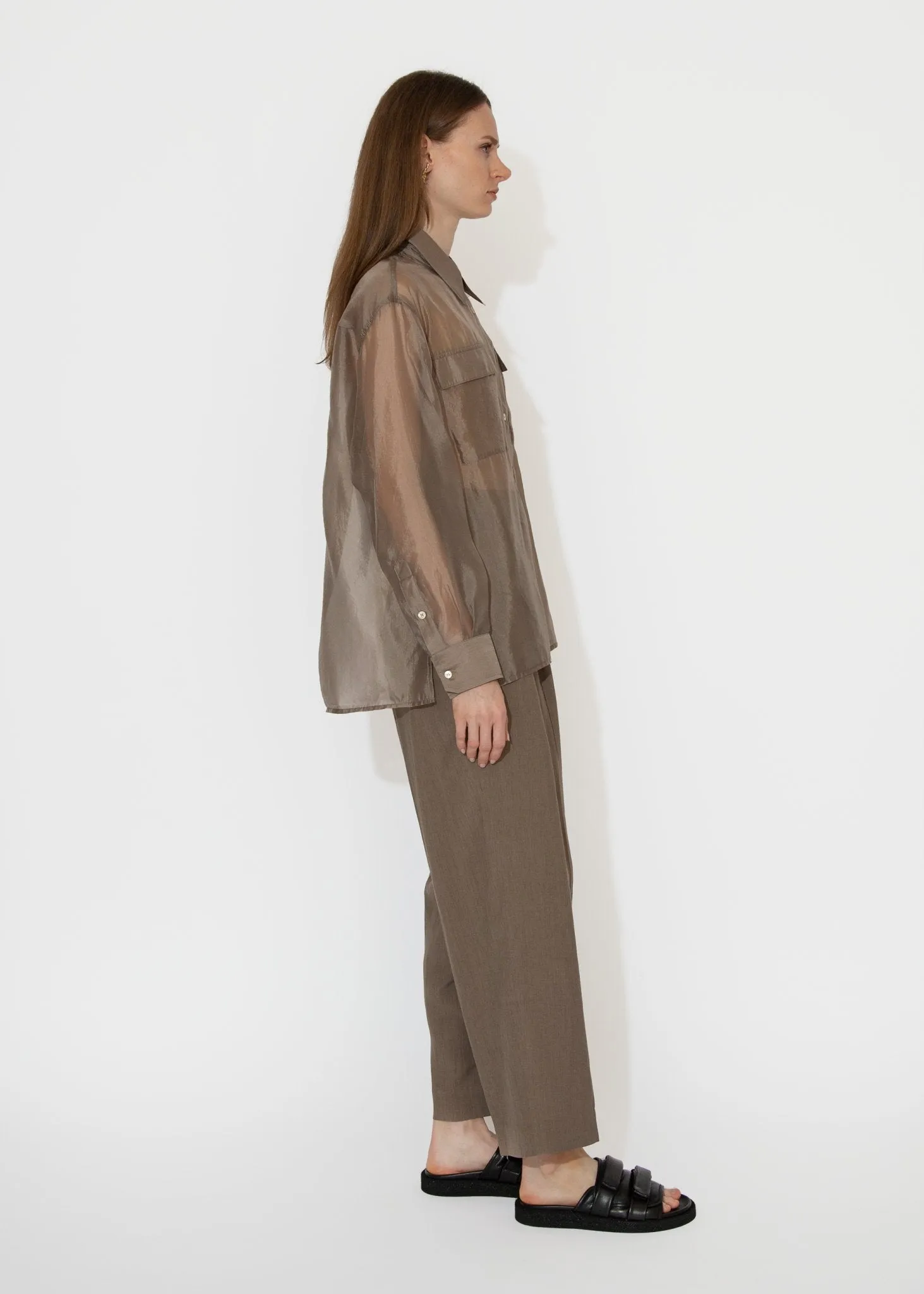 Organza Sheer Blouse in Dark Beige