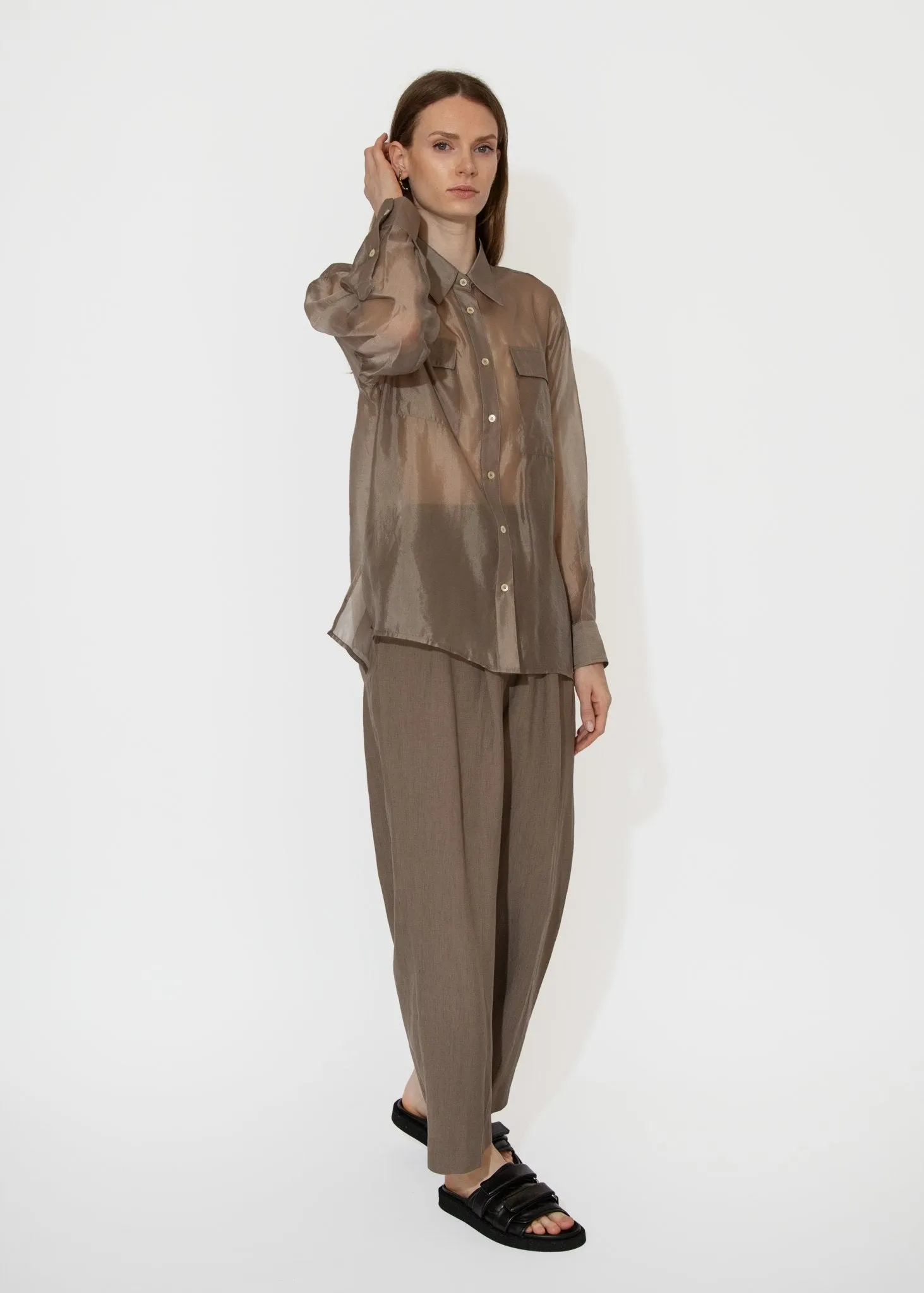 Organza Sheer Blouse in Dark Beige