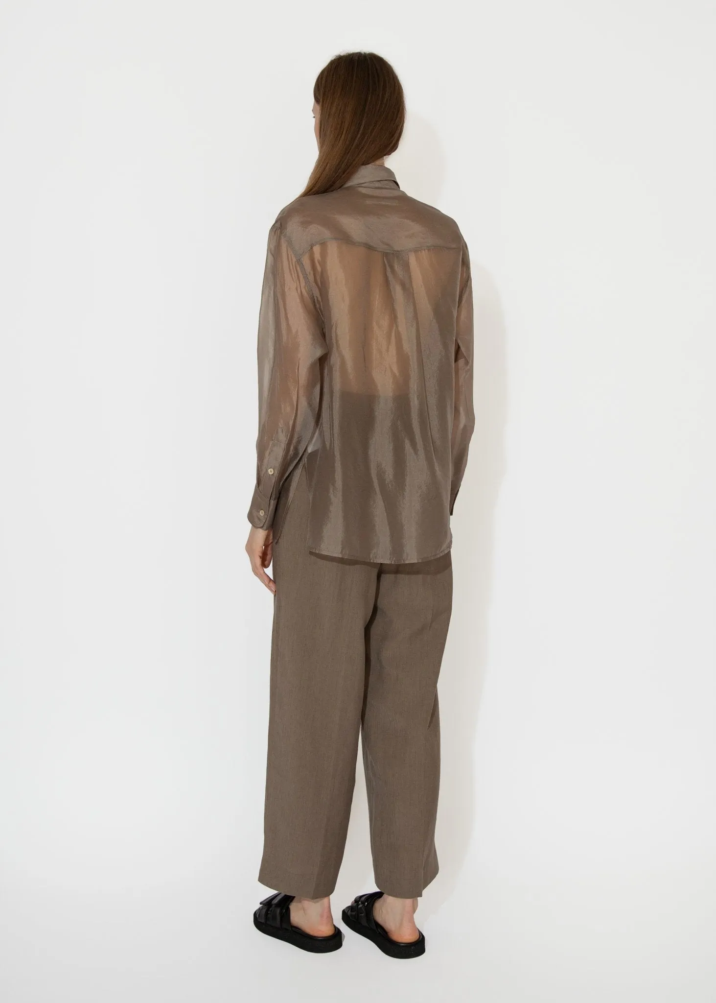 Organza Sheer Blouse in Dark Beige