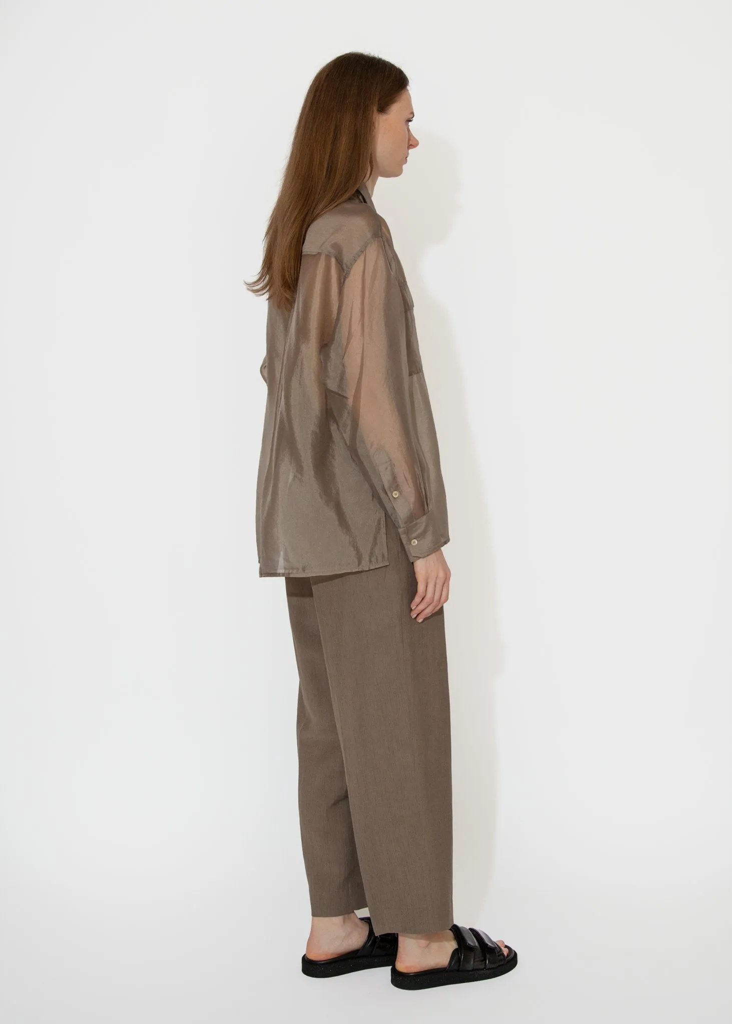 Organza Sheer Blouse in Dark Beige