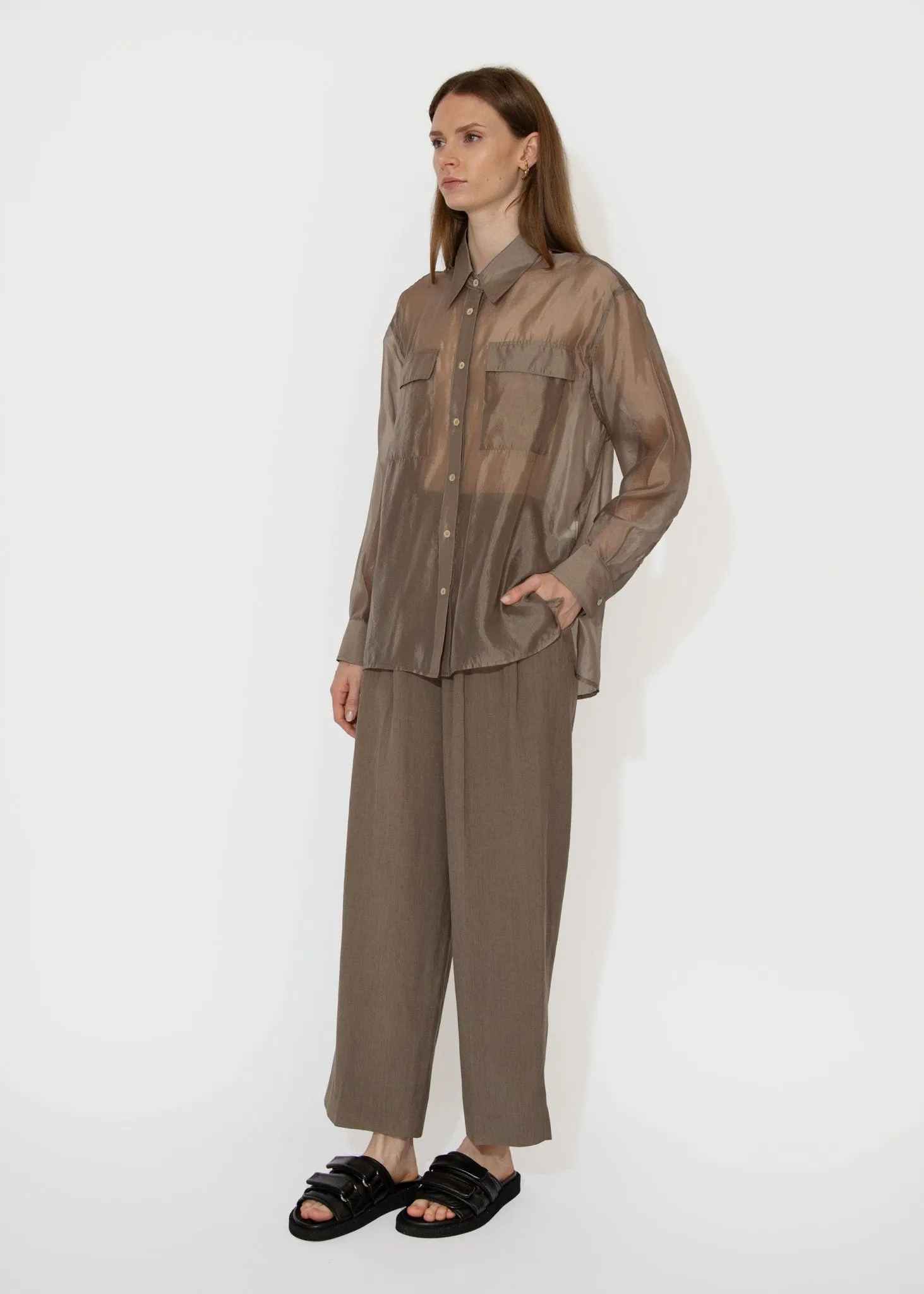 Organza Sheer Blouse in Dark Beige